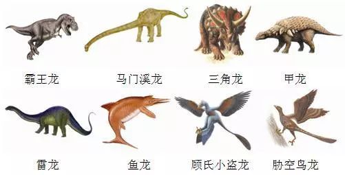 在每节课程的开始,老师会用故事将各种恐龙知识与通过儿童的视角呈现
